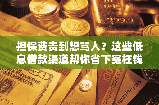 济南担保费贵到想骂人？这些低息借款渠道帮你省下冤枉钱