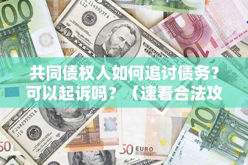 济南共同债权人如何追讨债务？可以起诉吗？（速看合法攻略）